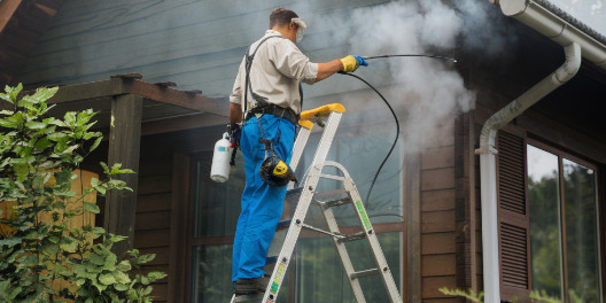 The Benefits of Year-Round Pest Control for San Antonio Homes and Businesses