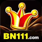 bn11 bn11 Profile Picture