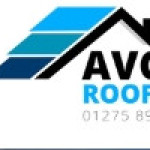 Roof Repairs Services Profile Picture