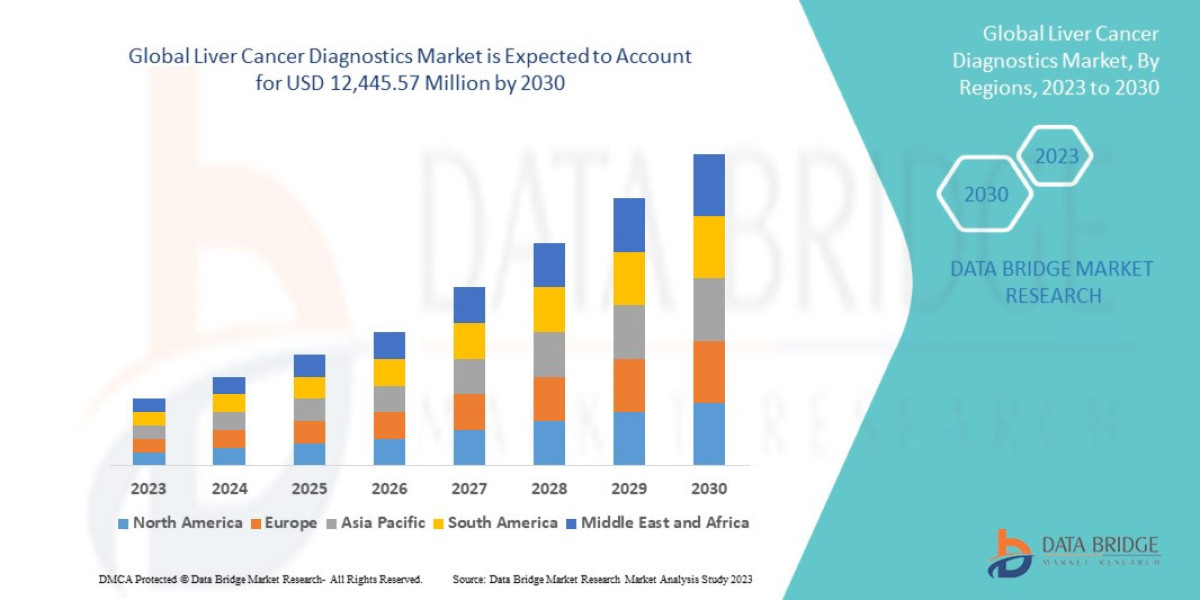 Liver Cancer Diagnostics Market Size, Trends Analysis and Forecast by 2030