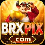 brxpix brxpix Profile Picture