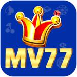 mv77 mv77 Profile Picture