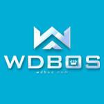 wdbos wdbos Profile Picture