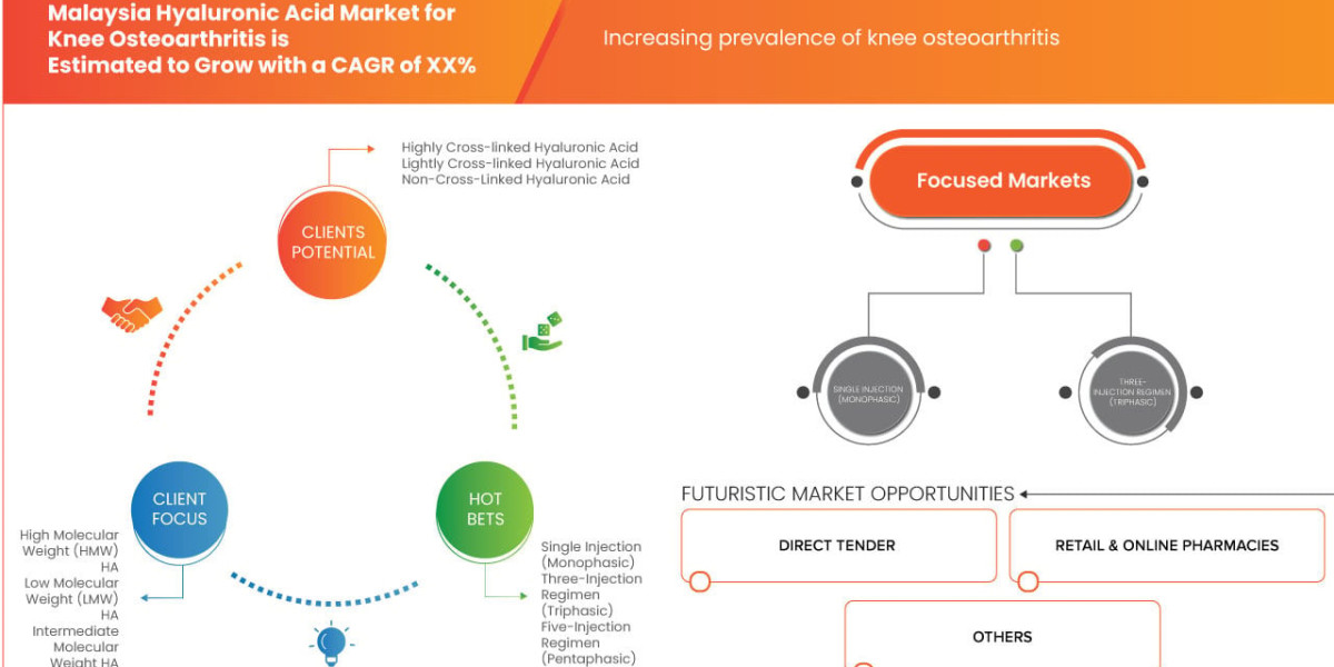 Malaysia Hyaluronic Acid Market Size, Share, Industry Trends, Growth Drivers and Forecast Report 2026–2033