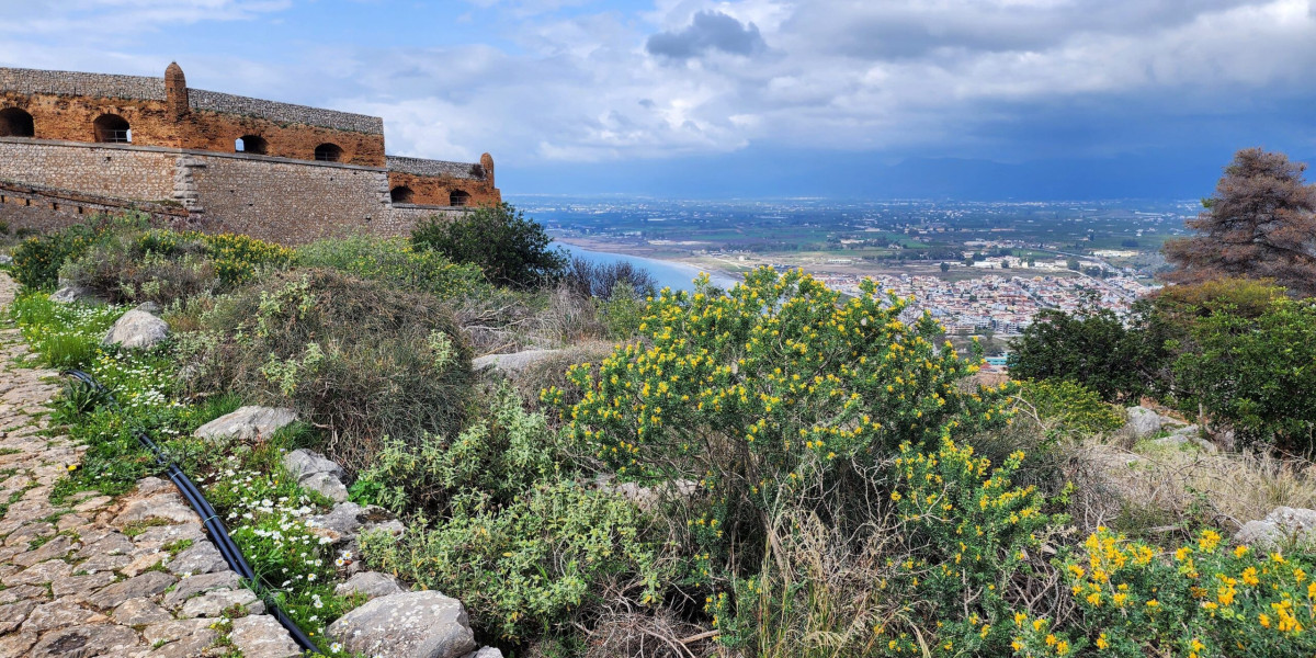 Investing in Greek Real Estate? Learn How Greece Mortgages for Foreigners(משכנתא ביוון לזרים )  Work