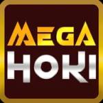 megahoki megahoki Profile Picture