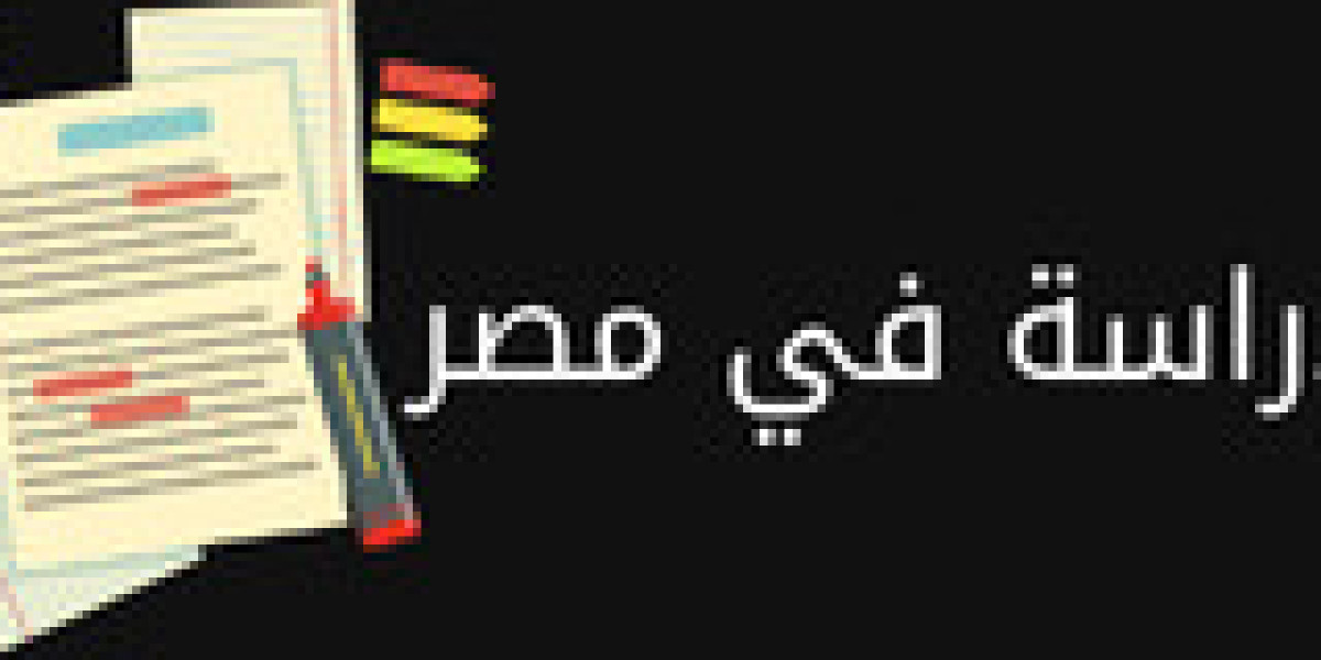 التسجيل في جامعات مصر | دليلك الشامل للدراسة والتقديم للطلاب الوافدين