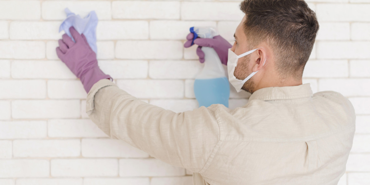 Painters in St. Louis Park, MN: Professional Painting Services for Homes and Businesses