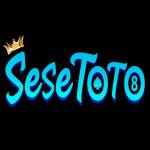 sesetoto sesetoto Profile Picture