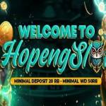 hopengslot hopengslot Profile Picture