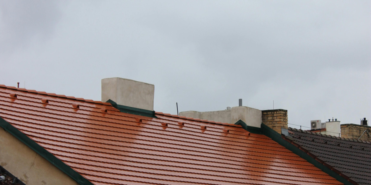Best roof coatings denver
