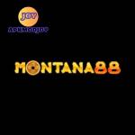 montana88 montana88 Profile Picture