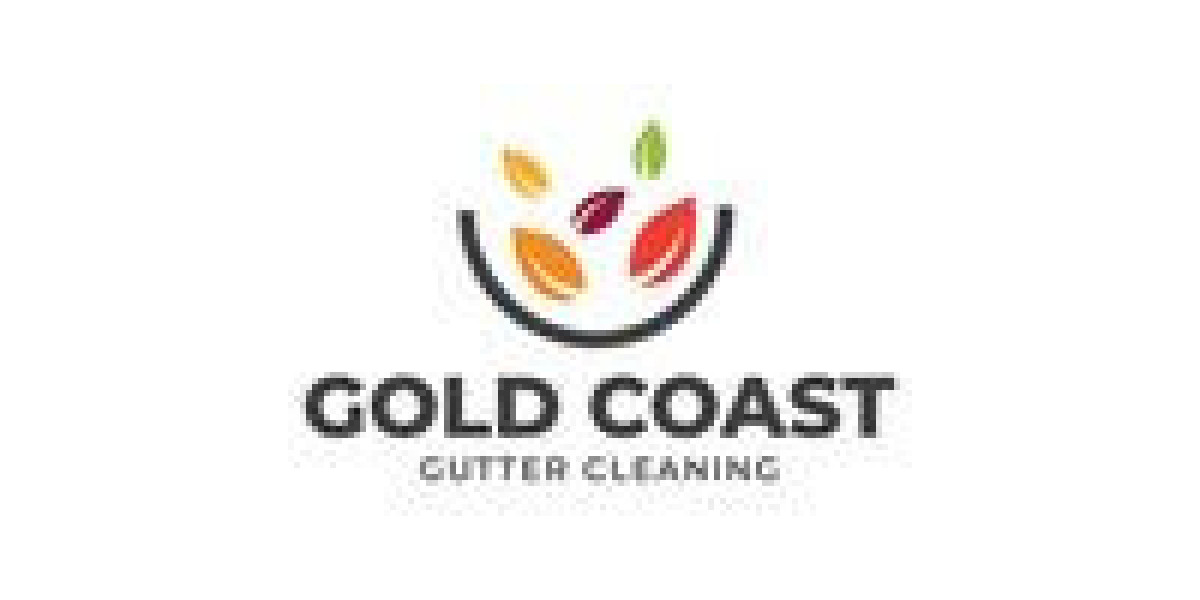 Why Professional Gutter Cleaning Matters for Every Property in Gold Coast