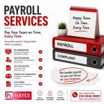 hayes accountants Profile Picture