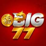 big77 big77 Profile Picture