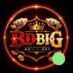 bdbig bdbig Profile Picture