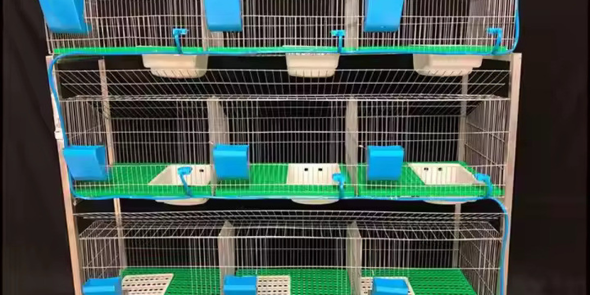 Comment aménager une cage de lapin pour une meilleure hygiène ?