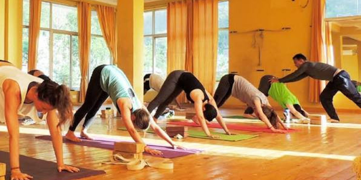 Retreats and Wellness Programs at AYM Yoga School, Rishikesh