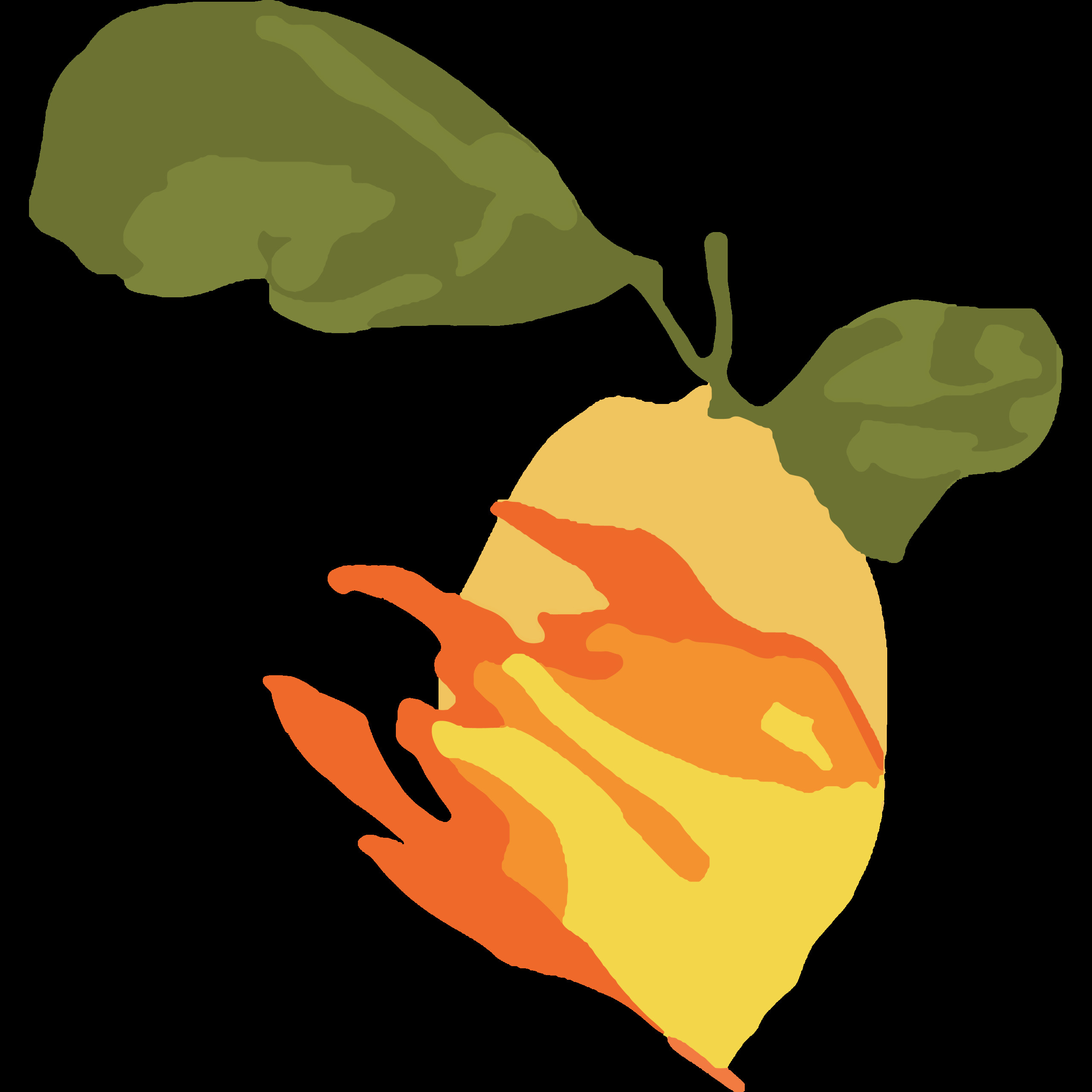 Lemons on fire Profile Picture