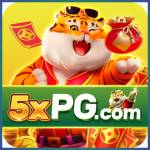 5xpg 5xpg Profile Picture