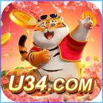 u34 u34 Profile Picture