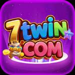 7twin 7twin Profile Picture