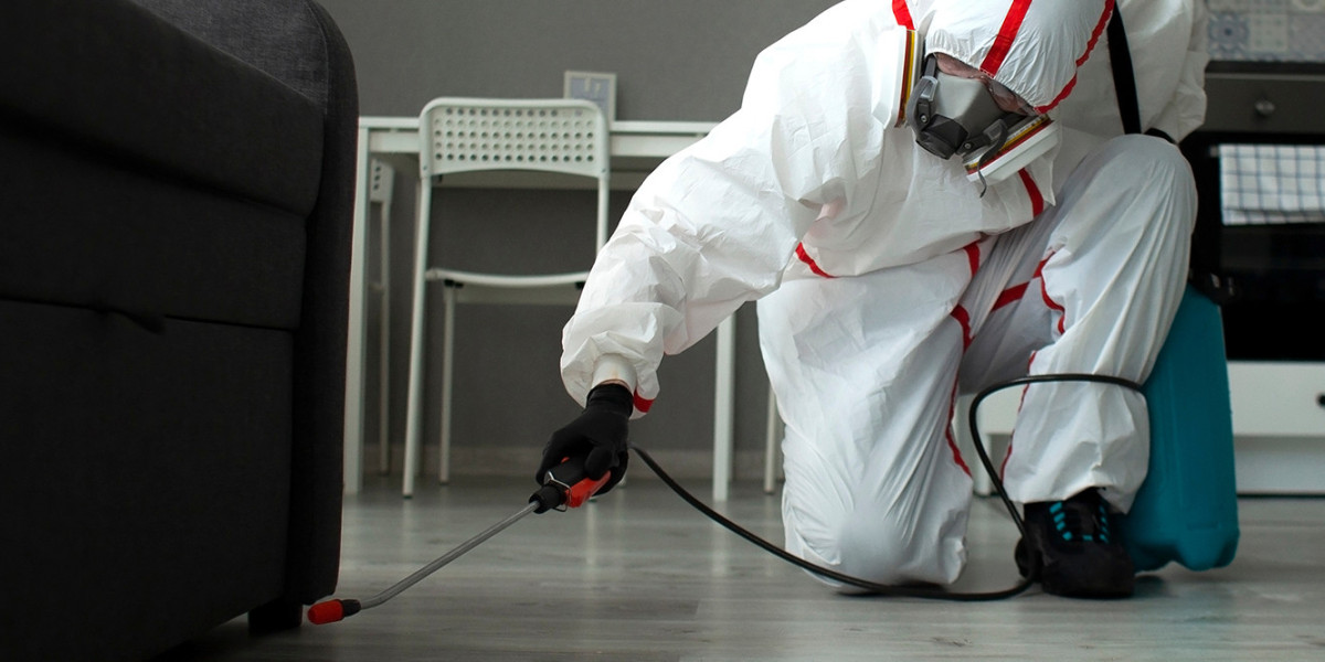 Pest Control Waterloo for Effective Home and Business Protection