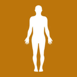 Mobility Therapy Denver | Chronic Pain & Injury Recovery