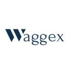 Waggex Payroll Software Profile Picture