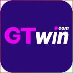 gtwin gtwin Profile Picture