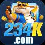 234k 234k Profile Picture