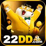 22dd 22dd Profile Picture