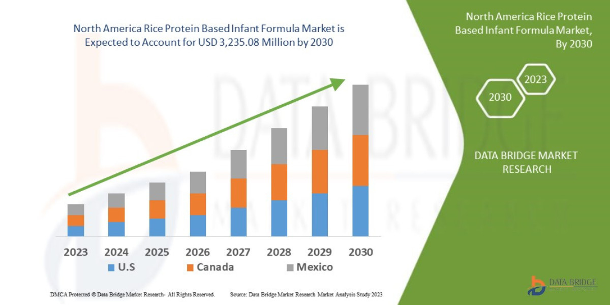 North America Rice Protein Based Infant Formula Market Size, Growth Drivers, Competitive Insights and Forecast