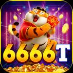 6666t 6666t Profile Picture