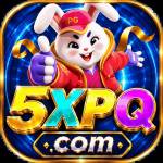 5xpq 5xpq Profile Picture