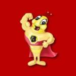 B-Dry System of Southeastern Michigan Inc. Profile Picture
