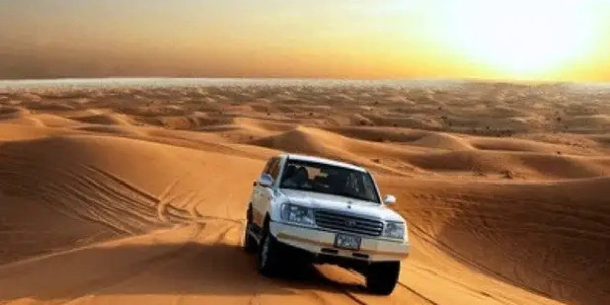 Desert Safari Packages: Find an Experience That Fits Your Plans