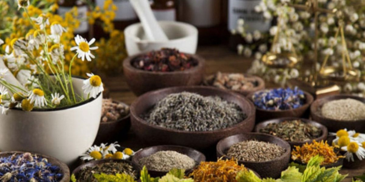 Exploring the Health Benefits of Oligoscan Melbourne