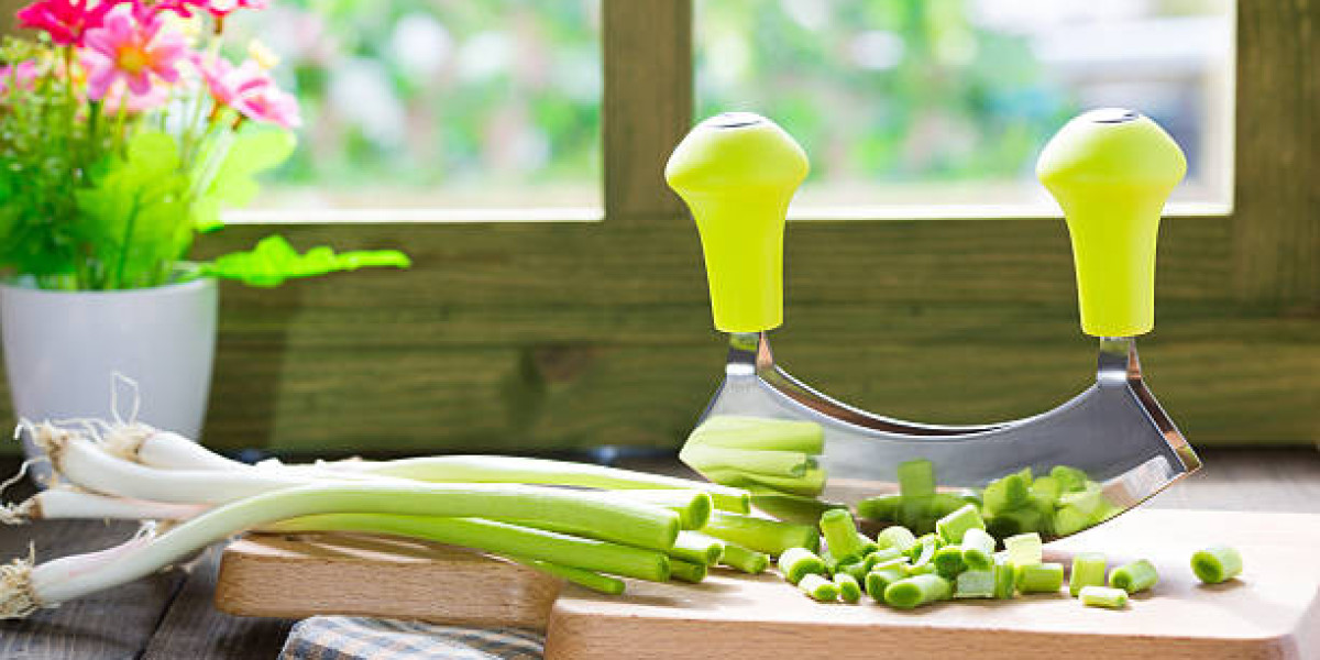 Electric Vegetable Chopper Market Analysis Reveals New Appliance Innovations