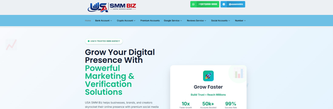 USASmmBiz usasmmbiz Cover Image