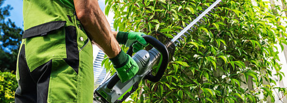 Allens Tree Care Cover Image
