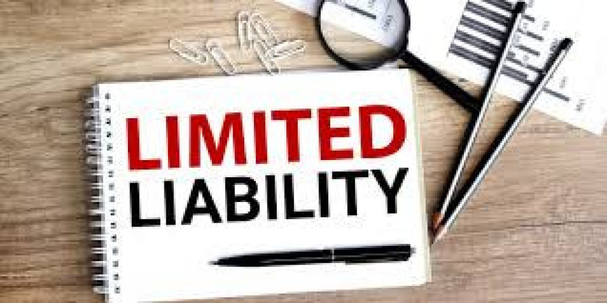 Limited Liability Partnership vs Company | Key Differences Explained