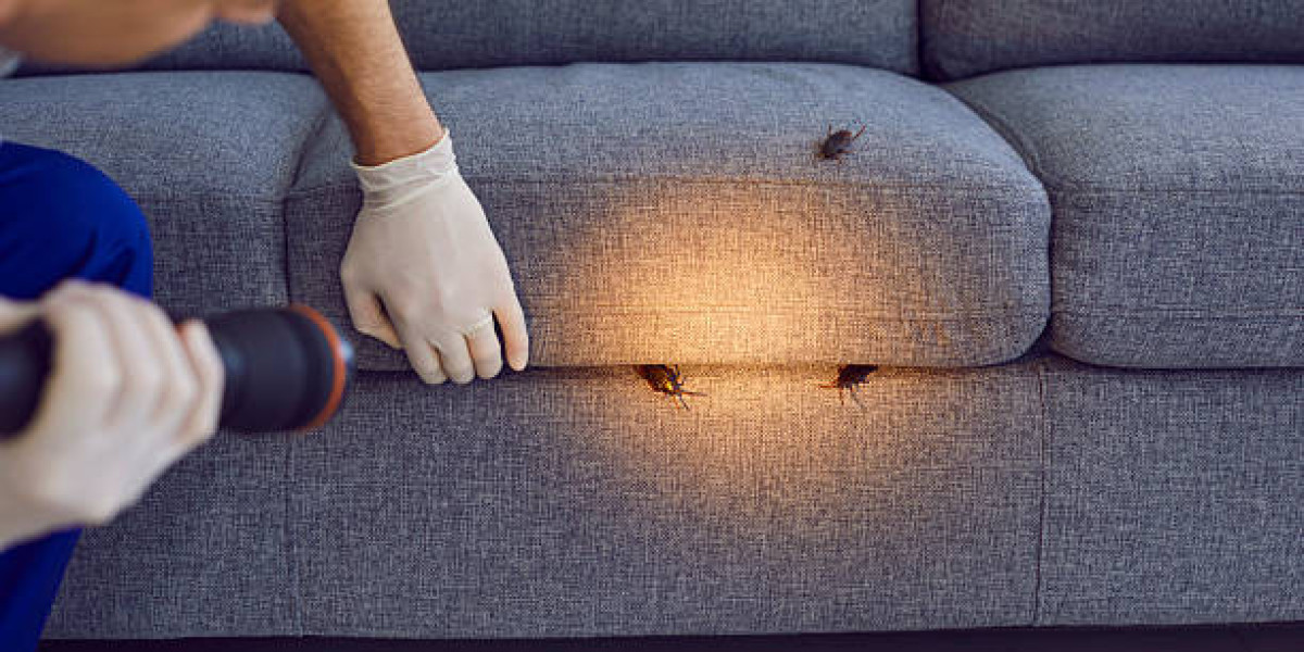 Best Pest Control and Termite Treatment Lahore Services by Teure Termite