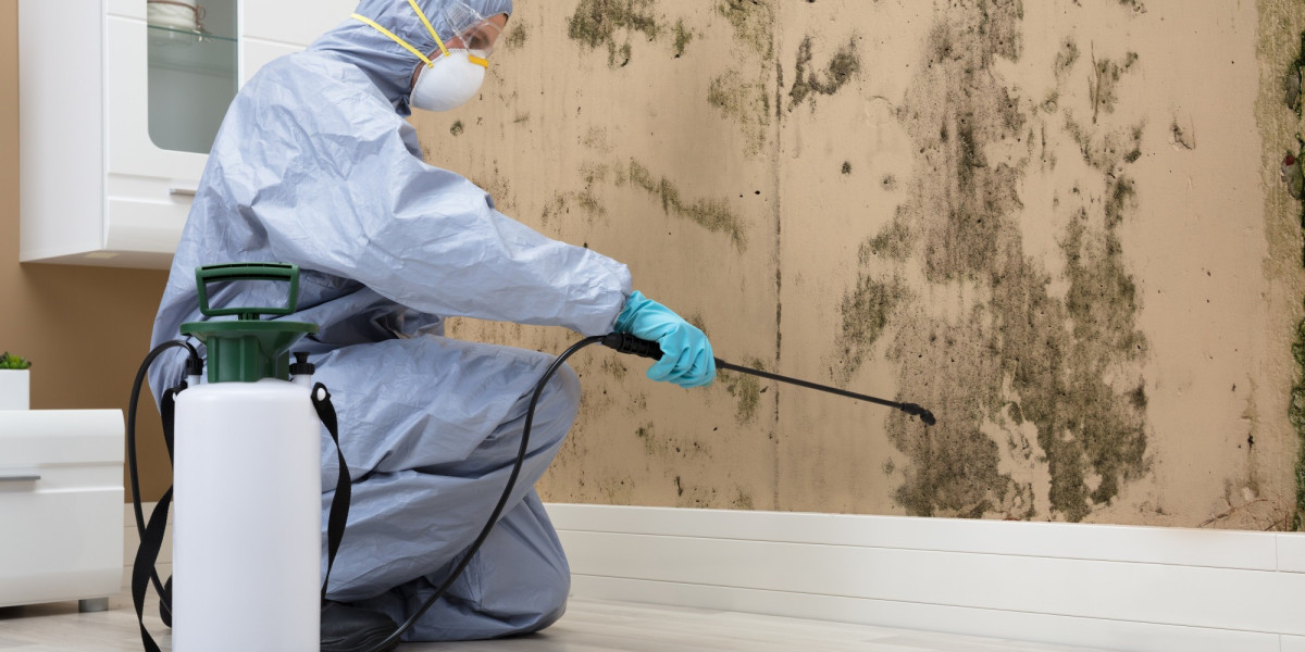 Storm Damage Restoration Helps Protect Your Property